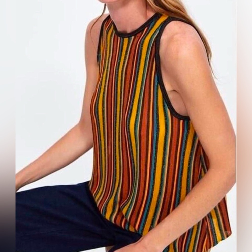 Zara Knit Stripe with Glitter Tank Top (Size Medium)